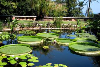 Bassins dans le jardin botanique du val Rahmeh à Menton