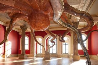 Intérieur du musée océanographique de Monaco