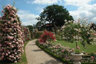 roseraie du Val de Marne à l'Haÿ-les-Roses
