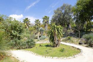 Flore des cinq continents au jardin botanique de Nice