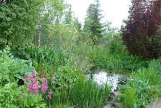 Jardin Botanique du col de Saverne 