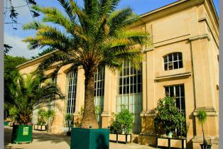 Orangerie du Visiter le Jardin des plantes et jardin Botanique de Caen