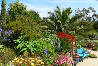 3000 espèces de plantes exotiques dans le jardin exotique de Roscoff