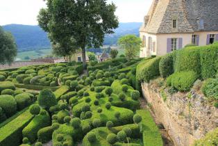 Buis taillés dans les Jardins de Marquessac