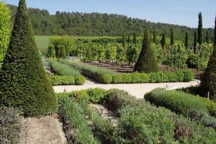 terrasse organisée en  grands rectangles ponctués d'ifs aux jardins du château de Val Joanis à Pertuis